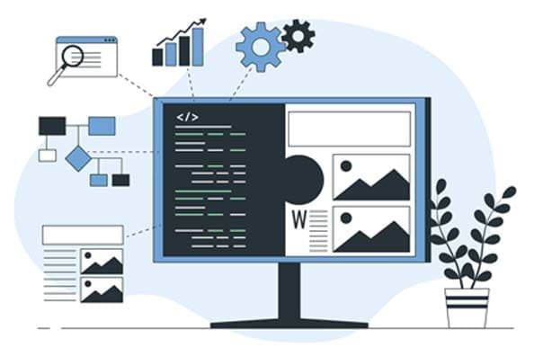 custom web design and development services